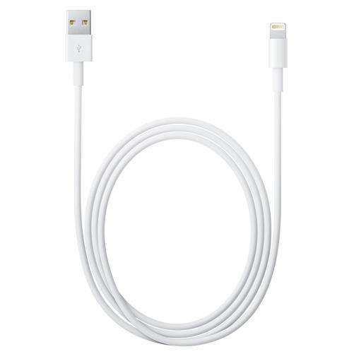 Apple Lightning to USB Cable (0.5m) - Counterpoint