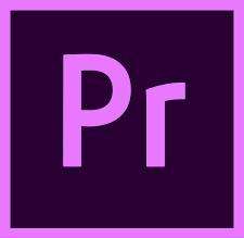 Adobe Premiere Pro for Teams VIP - 12 Months - Counterpoint
